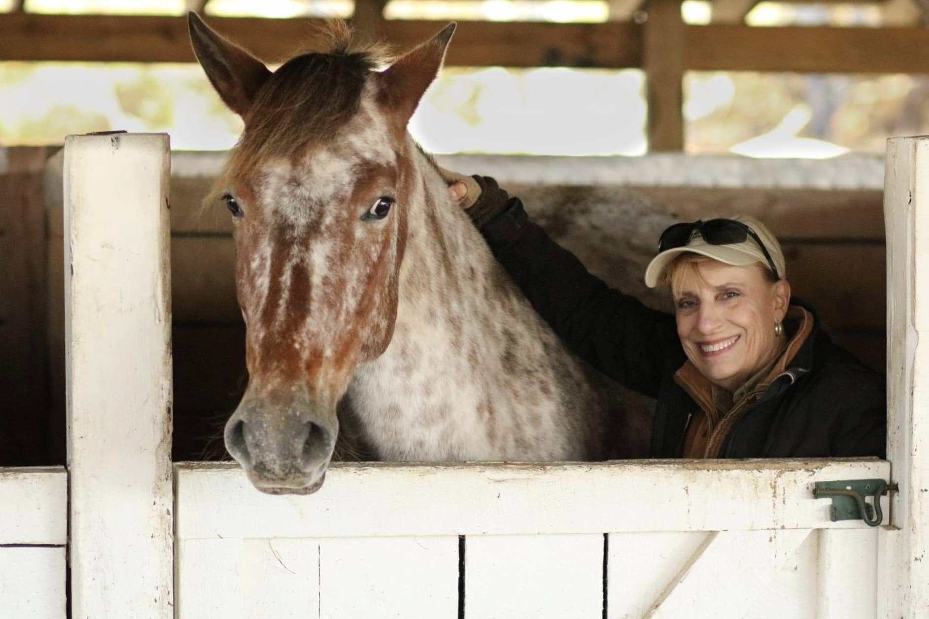 Handler and horse