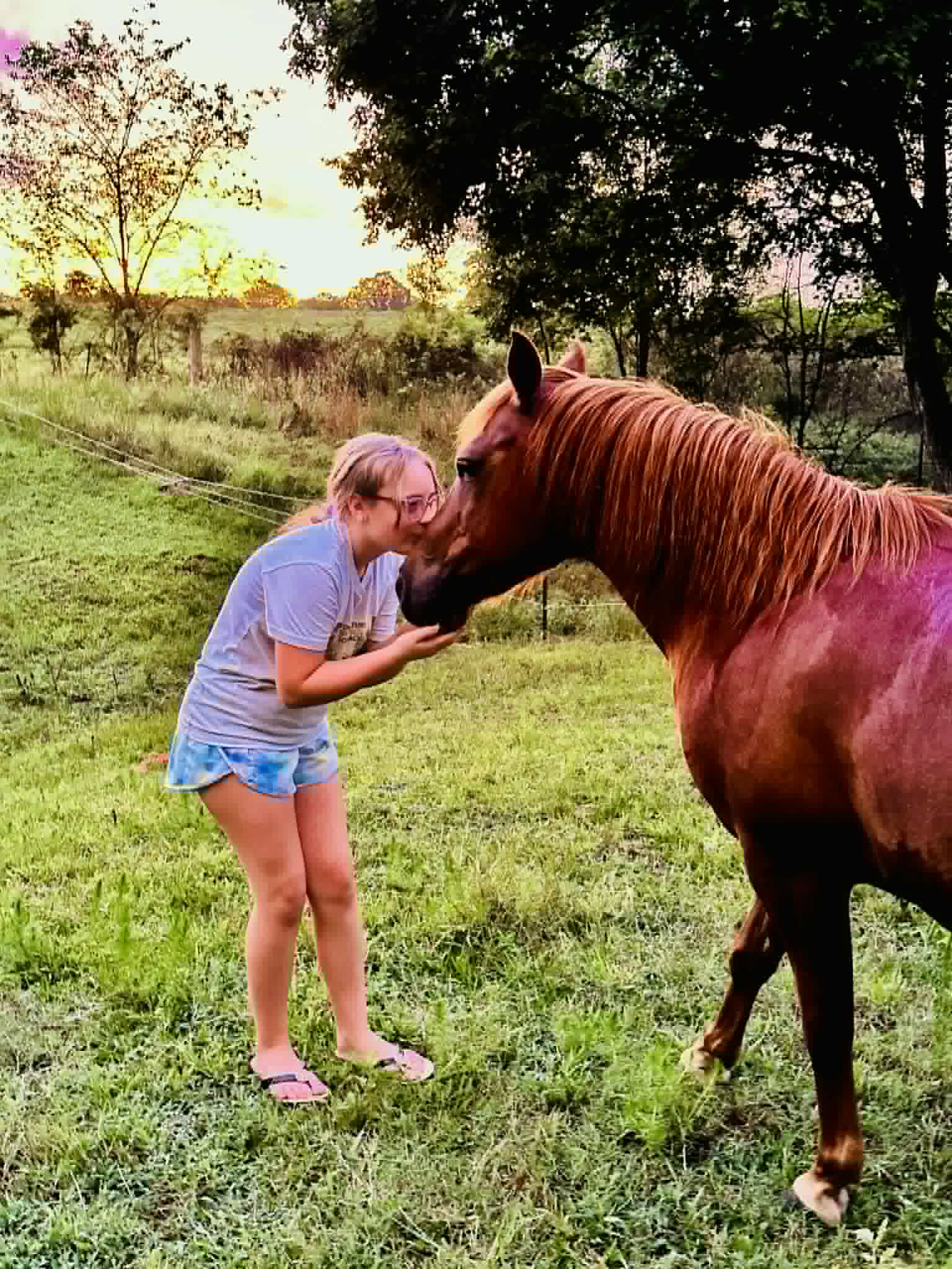 Girl with horse